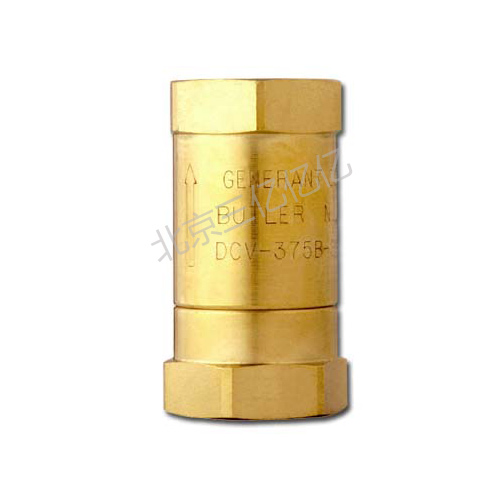 DCV 系列閥瓣止回閥